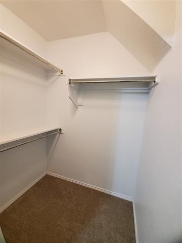 Building Photo - 4017 Chinaberry Dr