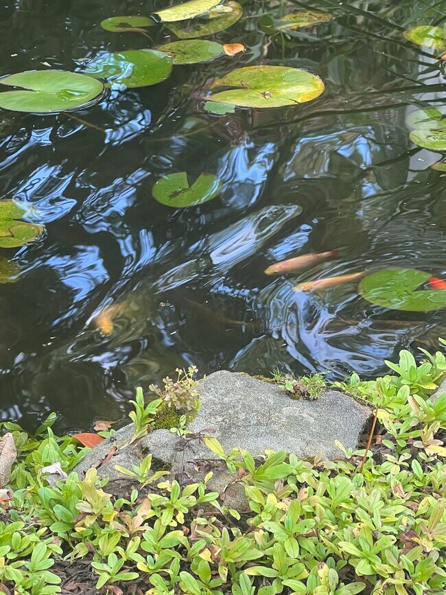 Building Photo - 123 Gould Ave