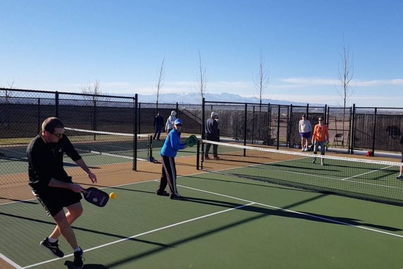 Pickleball court - 486 Daphne Terrace St