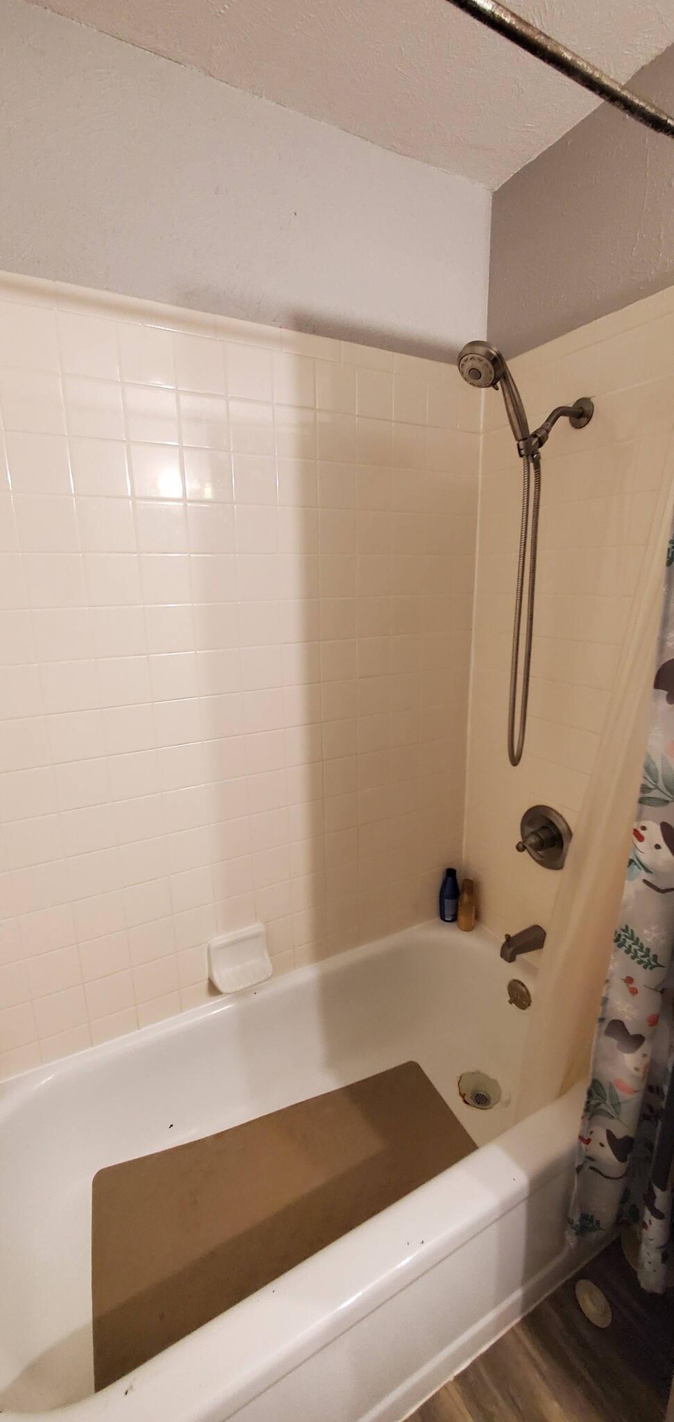 Hall bathroom shower - 4525 Sisk Rd