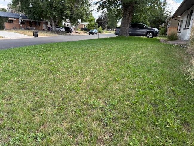 Building Photo - FREE AUGUST RENT!! - Harris Park Brick Ranch