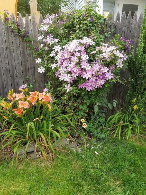 Building Photo - 270 Bates St