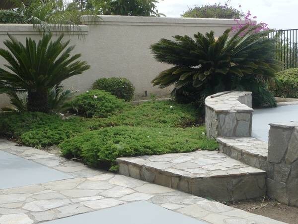 Building Photo - 779 S Ruby Ln