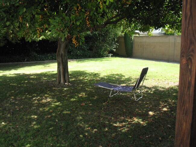 Temperature is cool in backyard - microclimate - 3121 W Wyoming Ave