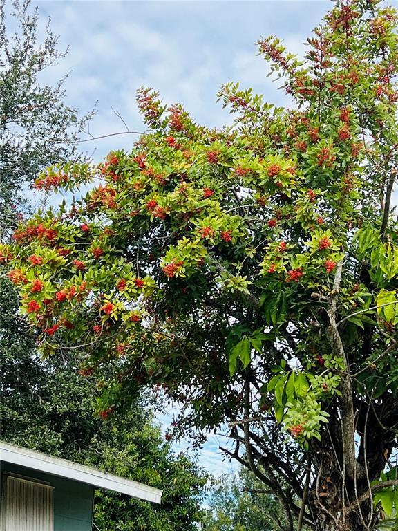 Building Photo - 501 25th Ave W