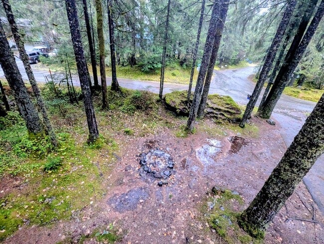 Building Photo - 4 BD/2BA Single Family Home in Dredge Lake area