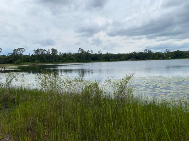 Building Photo - 208 Dawn Ave