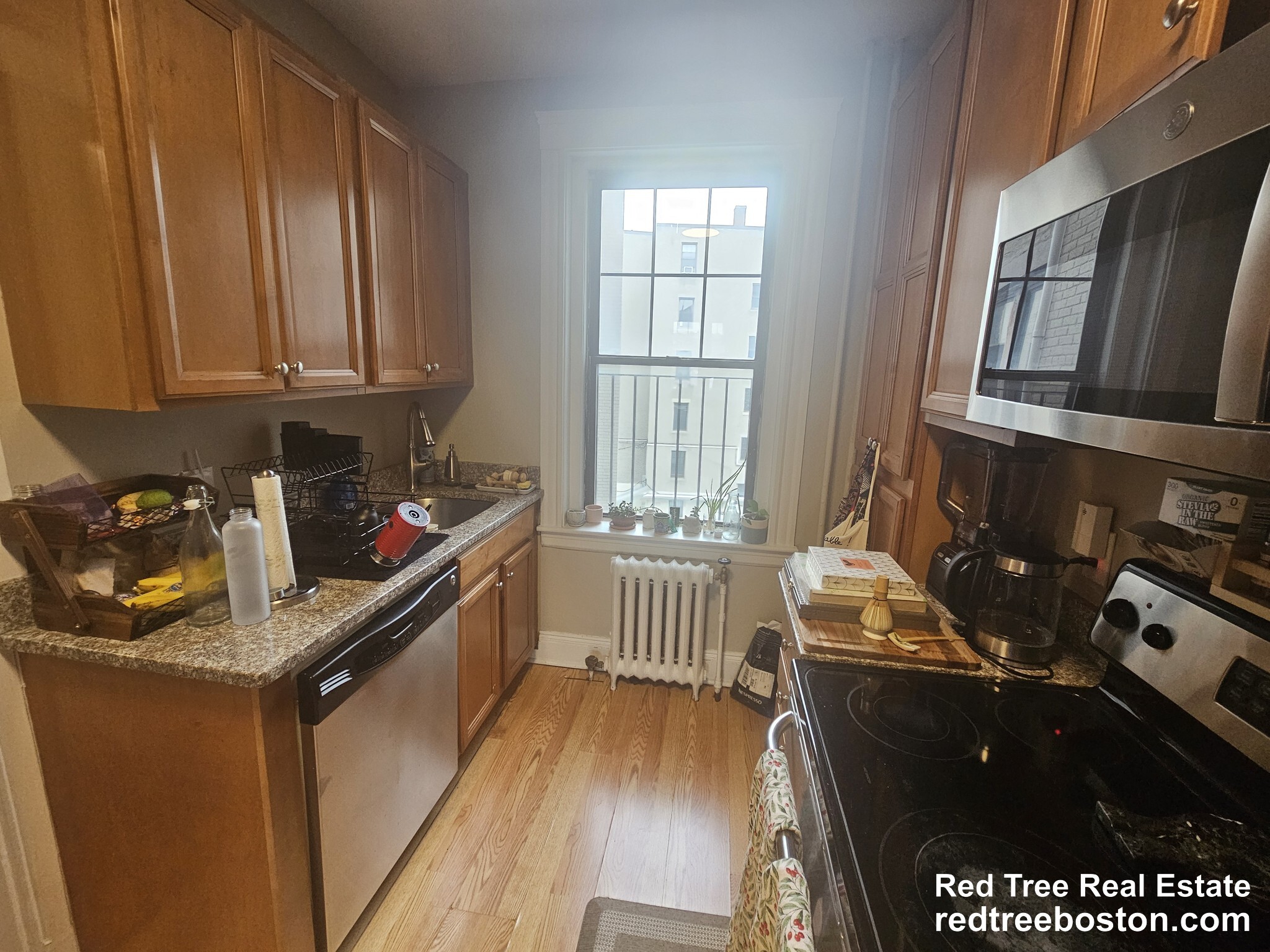 Building Photo - 370 Chestnut Hill Ave