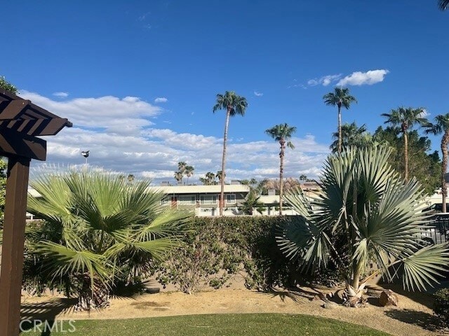 Building Photo - 37067 Bankside Dr