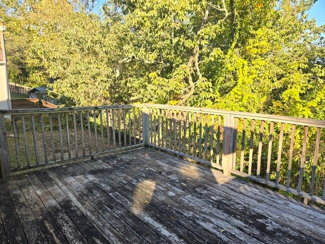 Building Photo - 3409 Alta Vista Dr