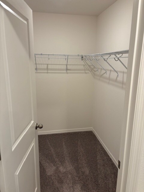 Building Photo - 3507 Eagles Xing Wy