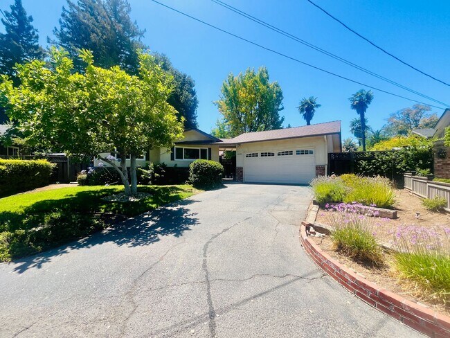 Building Photo - Unique 3 Bed + 2 Bath Los Altos Home - Spa...