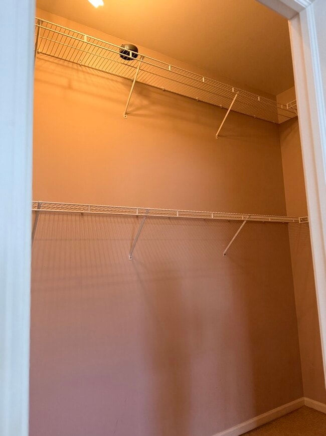 Building Photo - 2305 Sandy Creek Dr