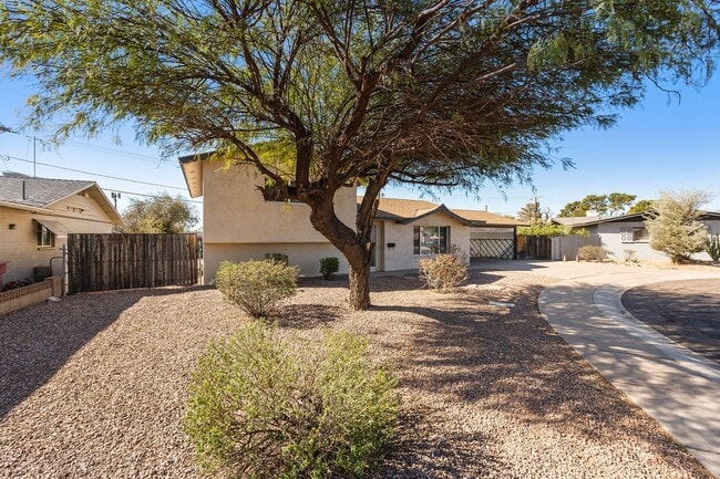 Building Photo - Great Location close to Old Town Scottsdale!