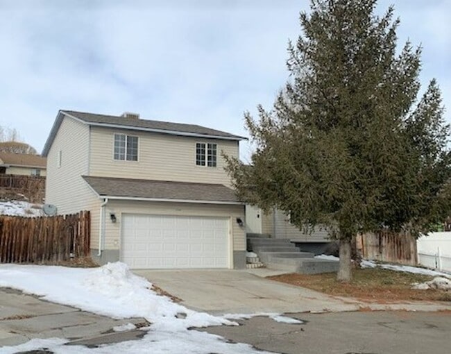 Building Photo - 3509 Forest Ct