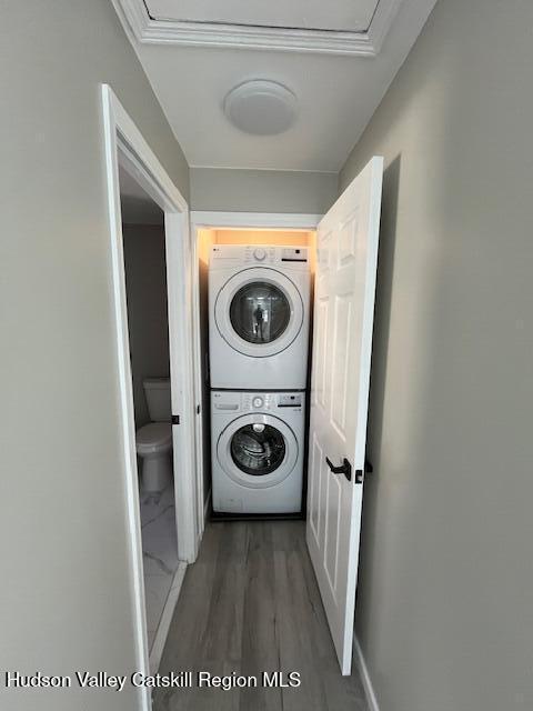 Building Photo - 19 Purvis St