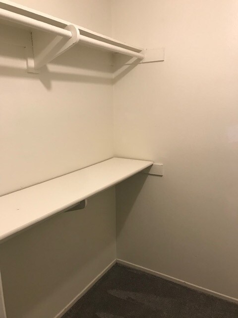 Building Photo - 486 Serento Cir