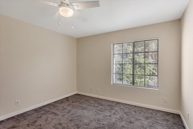 Building Photo - 2554 Olive Dr