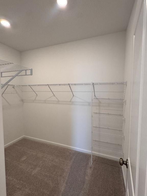 Building Photo - 5530 Morant Bay Path