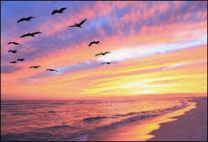 Building Photo - 1845 S Highland Ave