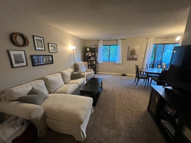 Living Entertainment - 14 Hampshire Dr