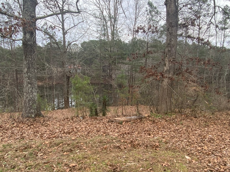 Building Photo - 8261 US-78