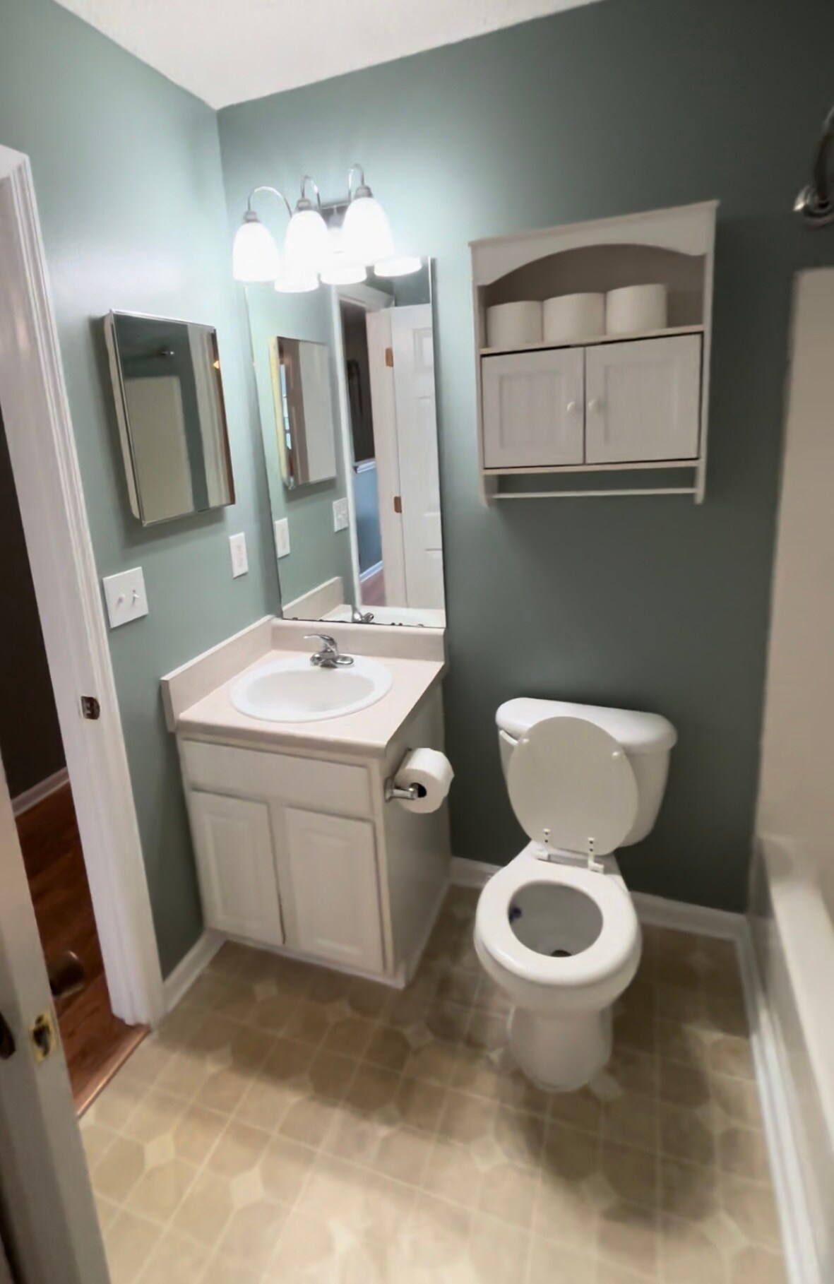 second bedroom attached bathroom - 1208 Apex Ln