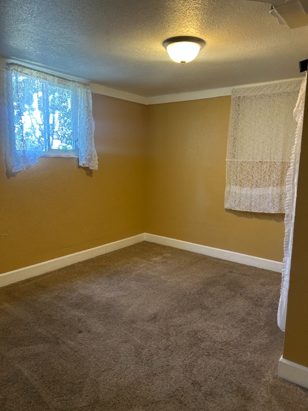 Building Photo - 4519 Cook St