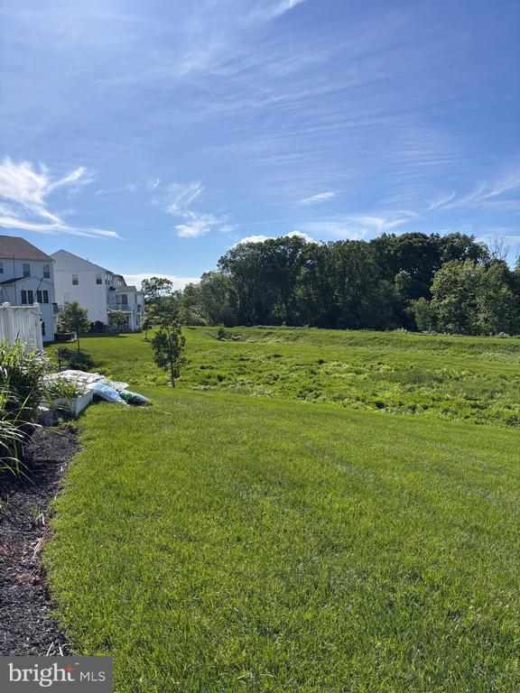 Building Photo - 313 Flintrock Ct