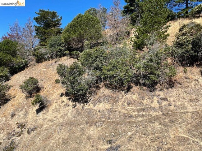 Building Photo - 1301 Quarry Ct