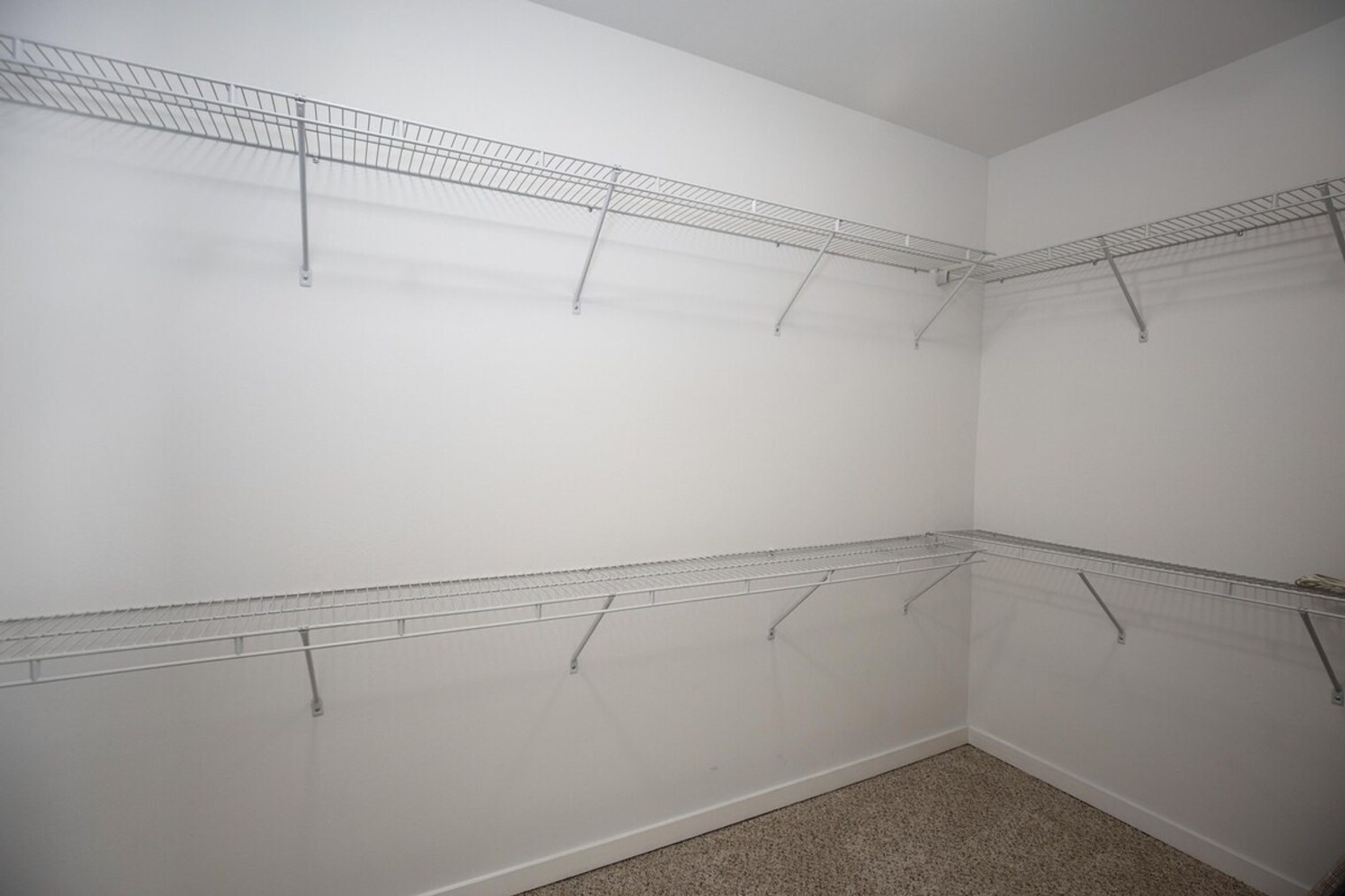 Building Photo - 6803 Staffordshire Crescent