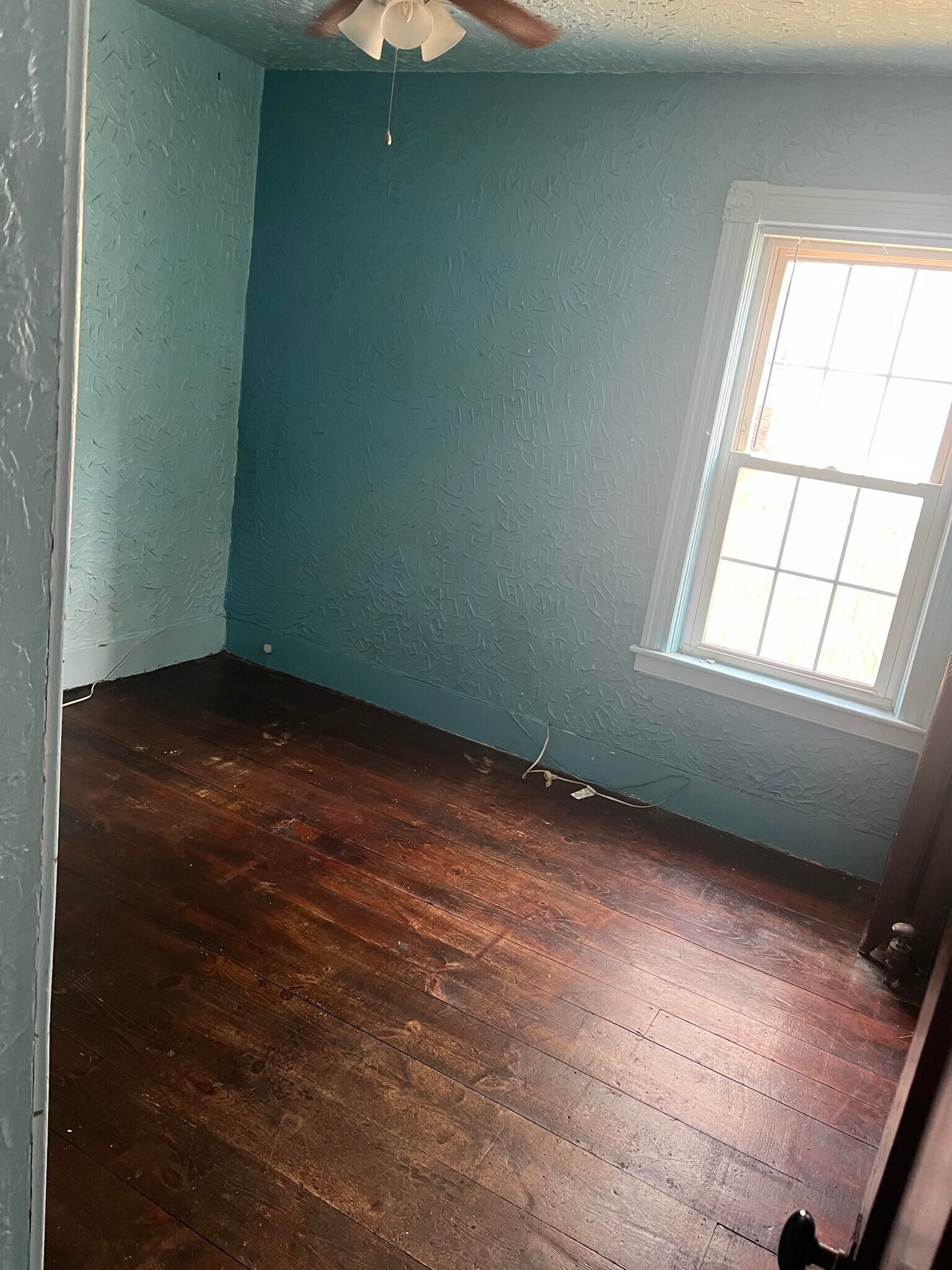 Building Photo - 6 Caroline St