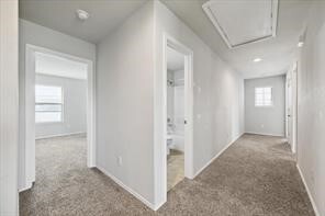 Building Photo - 23606 Eldarica Pine Ct