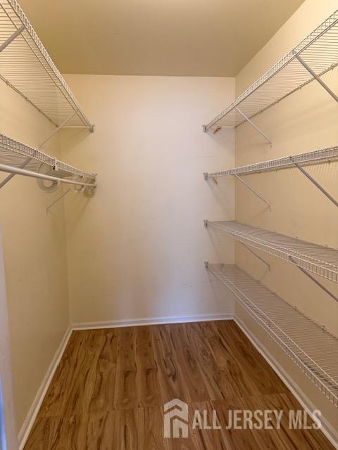 Building Photo - 513 Waterford Dr