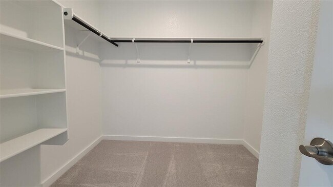 Building Photo - 440 Bristlecone Bend