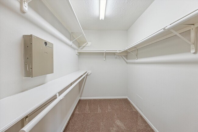 Building Photo - 6114 Fox Wind Ct