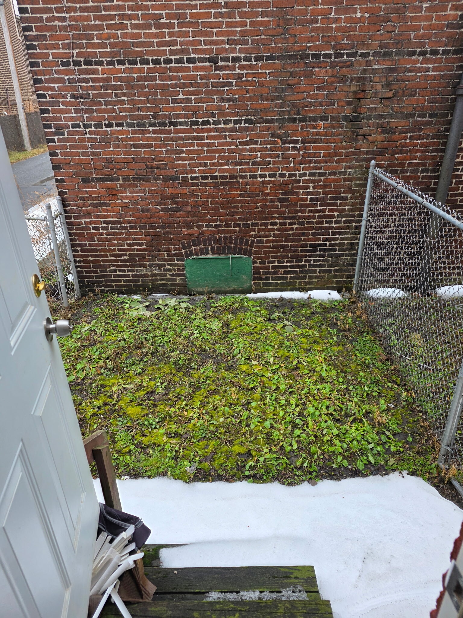 Fence in backyard - 33 Fleetwood St