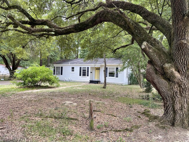 Building Photo - 217 Moreland Dr