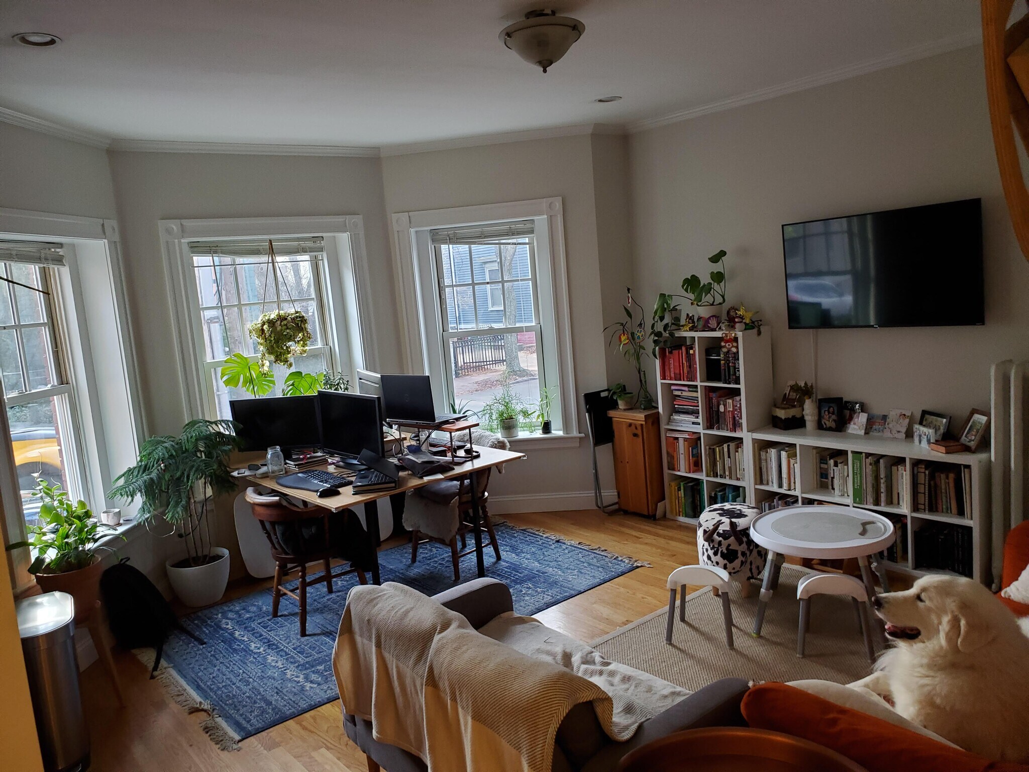 Building Photo - 66 Magazine St