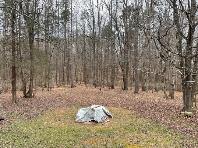 Building Photo - 425 Moon Meadow Ln