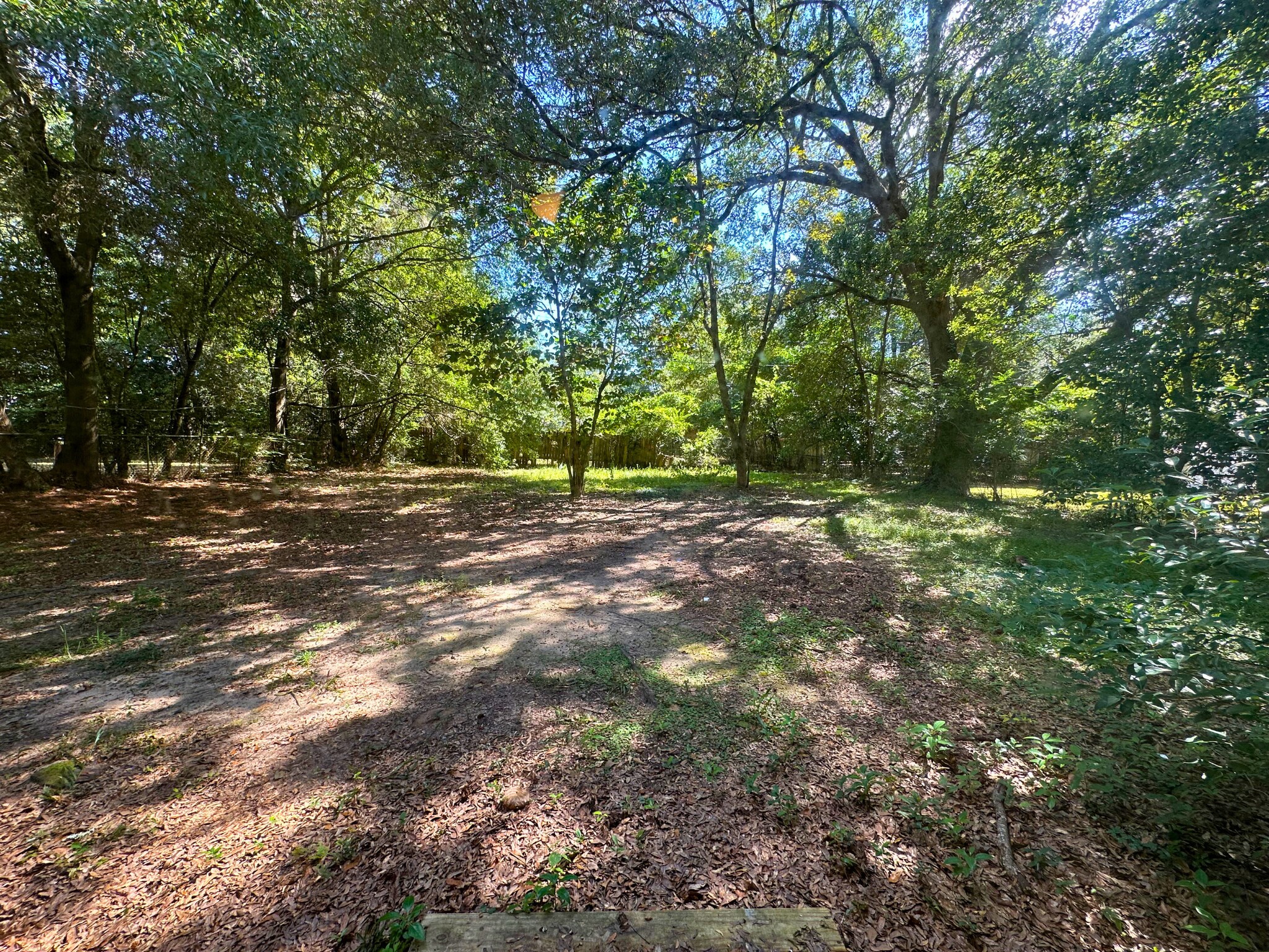 Building Photo - 1250 Druid Dr