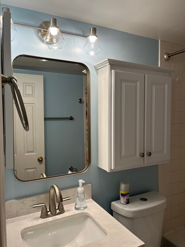 Renovated bathroom with tub. - 1415 E Abingdon Dr