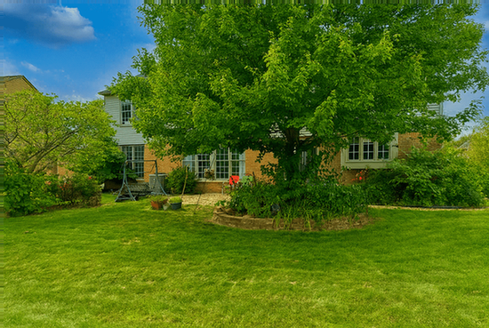 Building Photo - 420 Innsbrook Dr