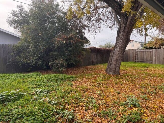 Building Photo - 3BR 1BA w/ 2 Car Garage + Fenced Yard in West Sacramento