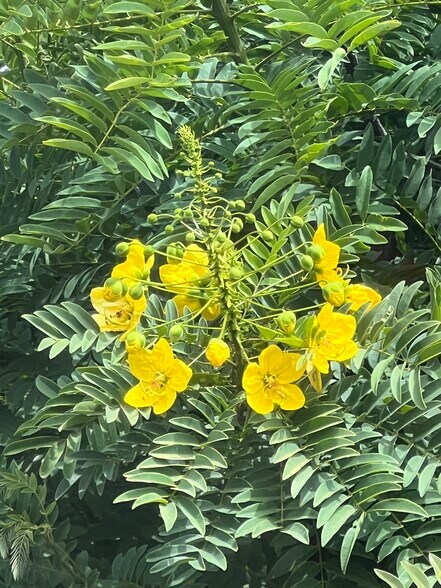 Building Photo - 12 Coach Rd