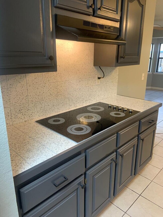 New paint and countertops - 921 Century Dr