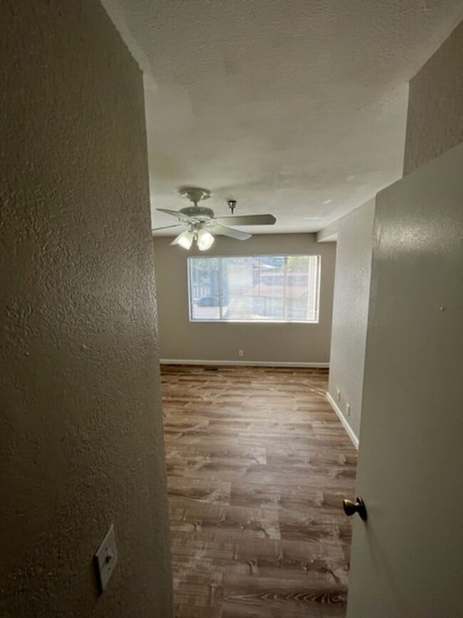 Building Photo - 55 Stenner St