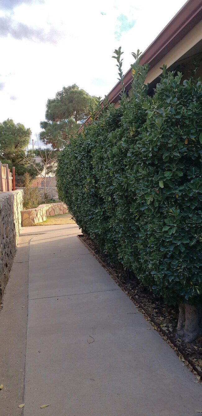 Building Photo - 11526 Tony Ponce Dr