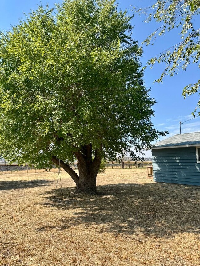 Building Photo - Nice home for rent in Metolius!