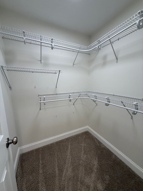 Building Photo - 3724 Winchester Trail